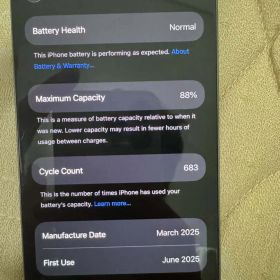 Apple iPhone 16Pro 本体