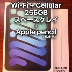 iPad mini 6 Cellular 256GB ＋Apple pencil