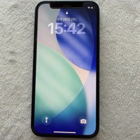 iPhone 12 mini本体 ブルー 256GB SIMフリー Apple