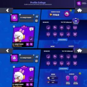 ブロスタ 104 BRAWLERS🔥71K🏆