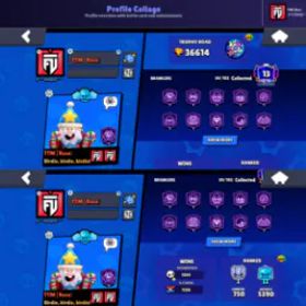ブロスタ 89 BRAWLERS🔥36K🏆