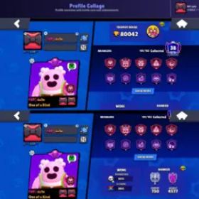 ブロスタ 101 BRAWLERS🔥80K🏆