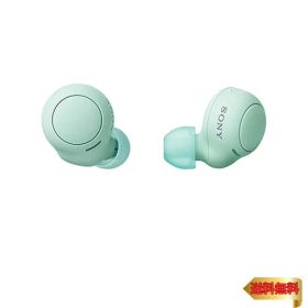 【マラソン最大46倍】ソニー(SONY) 完全ワイヤレスイヤホン WF-C500 : /軽量小型5.4g/高精度通話品質/簡単ペアリング/IPX4防滴性能/アイスグリ