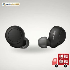 ソニー(SONY) 完全ワイヤレスイヤホン WF-C500 : /軽量小型5.4g/高精度通話品質/簡単ペアリング/IPX4防滴性能/ブラック WF-C500 BZ