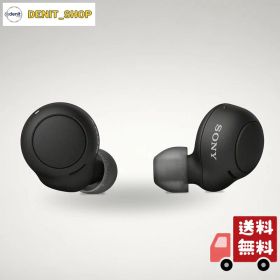 ソニー(SONY) 完全ワイヤレスイヤホン WF-C500 : /軽量小型5.4g/高精度通話品質/簡単ペアリング/IPX4防滴性能/ブラック WF-C500 BZ