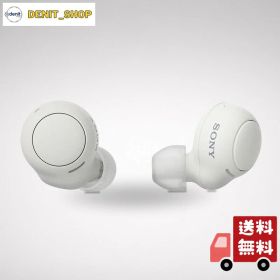 ソニー 完全ワイヤレスイヤホン WF-C500 : /軽量小型5.4g/高精度通話品質/簡単ペアリング/IPX4防滴性能/ホワイト WF-C500 WZ