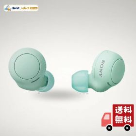 ソニー(SONY) 完全ワイヤレスイヤホン WF-C500 : /軽量小型5.4g/高精度通話品質/簡単ペアリング/IPX4防滴性能/アイスグリーン WF-C500 GZ