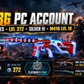 ピーユービージー バトルグラウンズ PUBG PC Account Level 372 | Progressive No Signal M416 LVL 10 | Platinum II Highest Rank