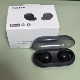 ソニー ワイヤレスイヤホン SONY WF-C500 Bluetooth