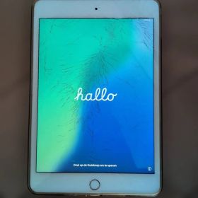 Apple iPad mini 第5世代 本体 A2133