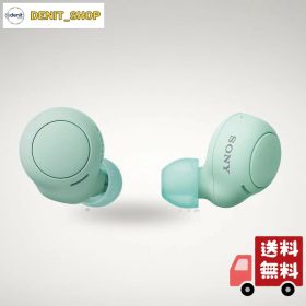 ソニー(SONY) 完全ワイヤレスイヤホン WF-C500 : /軽量小型5.4g/高精度通話品質/簡単ペアリング/IPX4防滴性能/アイスグリーン WF-C500 GZ