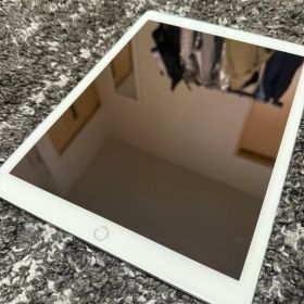 Apple iPad Pro 12.9インチ 64GB 第2世代 本体