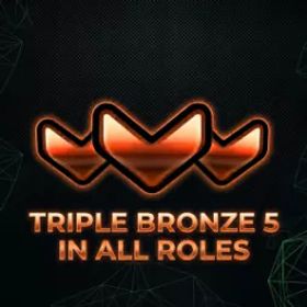 オーバーウォッチ TRIPLE BRONZE 3- 5