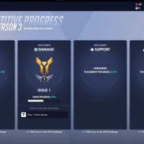 オーバーウォッチ ✨ GOLD DPS ✨