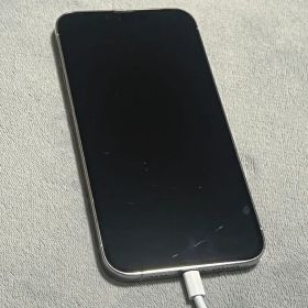 Apple iPhone 13 ProMax