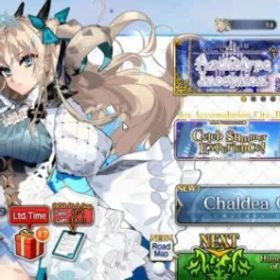 フェイトグランドオーダー NA Orleans Lvl 64|4 SSR|Spae Ereshkigal, Waver, BB Dubai, Tametomo, CE Black Grail|64 Golden Fruit|Birthday Unset|(FGO885)