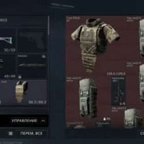 Delta Force 💯 Level 60 💯 Assets: 336M 💯 Cash on hand: 143M 💯 #78230957 💙✅⚜️🌺