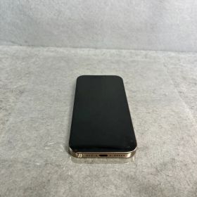 香港版IPhone 16 Pro256GB SIMフリー物理SIMx2で運用可能