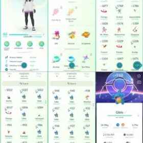 ポケモンGO LVL 66 🟣 3,7m Dust ✨ 177 Shinies 💯 10 Hundos