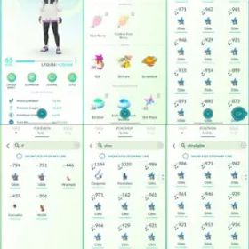 ポケモンGO LVL 65 🟣 2,2m Dust ✨ 196 Shinies 💯 5 Hundos