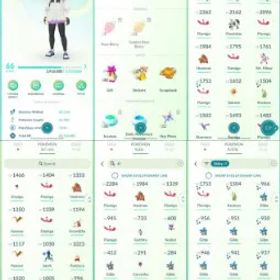 ポケモンGO LVL 66 🟣 3,7m Dust ✨ 173 Shinies 💯 10 Hundos