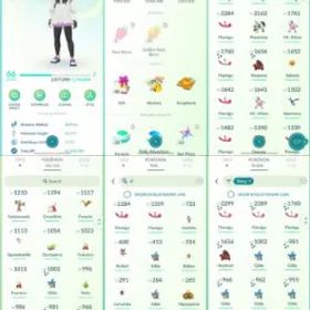 ポケモンGO LVL 66 🟣 3,8m Dust ✨ 144 Shinies 💯 9 Hundos