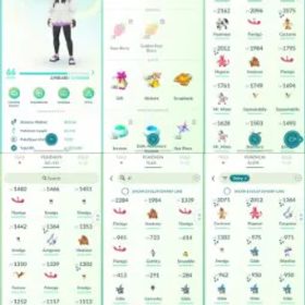 ポケモンGO LVL 66 🟣 3,8m Dust ✨ 179 Shinies 💯 10 Hundos