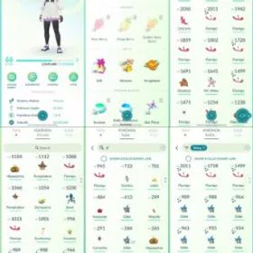 ポケモンGO LVL 66 🟣 3,7m Dust ✨ 171 Shinies 💯 10 Hundos