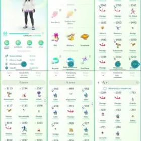 ポケモンGO LVL 66 🟣 3,8m Dust ✨ 170 Shinies 💯 8 Hundos