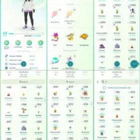 ポケモンGO LVL 64 🟣 4,4m Dust ✨ 74 Shinies 💯 9 Hundos