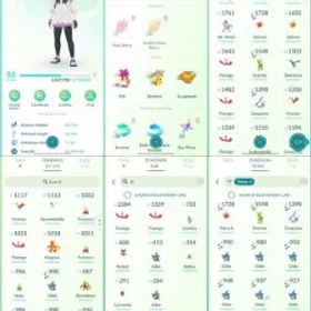 ポケモンGO LVL 66 🟣 3,7m Dust ✨ 145 Shinies 💯 8 Hundos