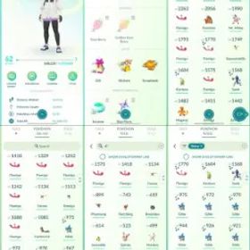 ポケモンGO LVL 62 🟣 2,9m Dust ✨ 112 Shinies 💯 12 Hundos