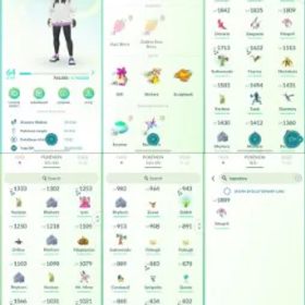 ポケモンGO LVL 64 🟣 4,4m Dust ✨ 45 Shinies 💯 17 Hundos