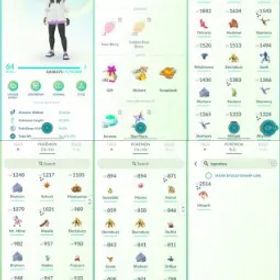 ポケモンGO LVL 64 🟣 4,6m Dust ✨ 69 Shinies 💯 12 Hundos