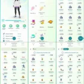 ポケモンGO LVL 63 🟣 4,1m Dust ✨ 54 Shinies 💯 13 Hundos