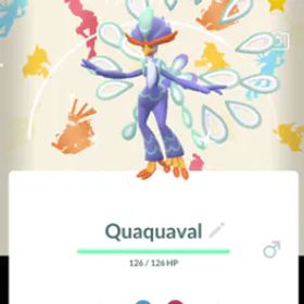 ポケモンGO Shiny Quaquaval Special Background - PTC Account