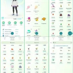 ポケモンGO LVL 64 🟣 4,3m Dust ✨ 54 Shinies 💯 6 Hundos