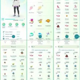 ポケモンGO LVL 66 🟣 3,7m Dust ✨ 166 Shinies 💯 10 Hundos