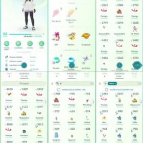 ポケモンGO LVL 66 🟣 3,8m Dust ✨ 195 Shinies 💯 13 Hundos