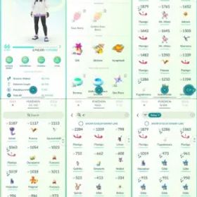 ポケモンGO LVL 66 🟣 3,8m Dust ✨ 155 Shinies 💯 12 Hundos