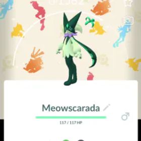 ポケモンGO Shiny Meowscarada Special Background - PTC Account