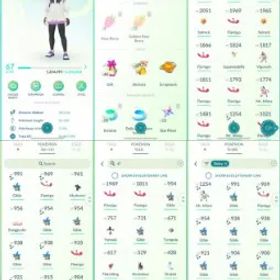 ポケモンGO LVL 67 🟣 4,3m Dust ✨ 185 Shinies 💯 14 Hundos