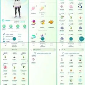 ポケモンGO LVL 65 🟣 4,7m Dust ✨ 76 Shinies 💯 9 Hundos