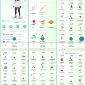 ポケモンGO LVL 64 🟣 4,4m Dust ✨ 60 Shinies 💯 15 Hundos