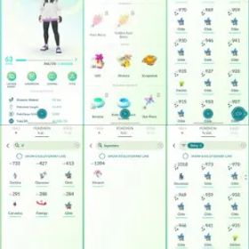 ポケモンGO LVL 63 🟣 1,9m Dust ✨ 124 Shinies 💯 6 Hundos