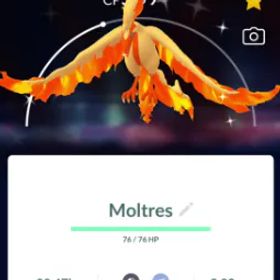 ポケモンGO Pokemon Go Shiny GALARIAN Moltres - Mini PTC 80K Stardust