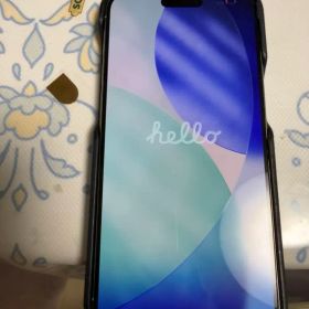 iPhone 15 Pro Max 256GB 本体