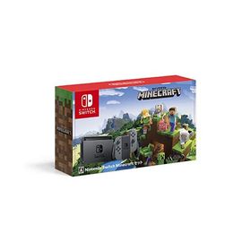 Nintendo Switch Minecraft (マインクラフト) セット