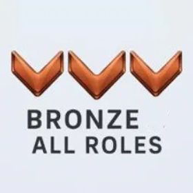 オーバーウォッチ Triple Bronze ♥ Tank ♥ DPS ♥ Sup