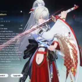 鳴潮 [EU Server] Feixue + Frosburn | Lv.8 Account | Full Access